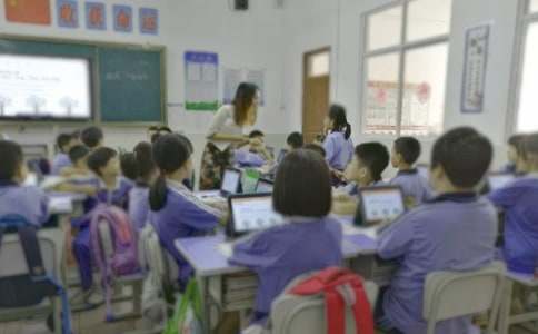 课文教学反思