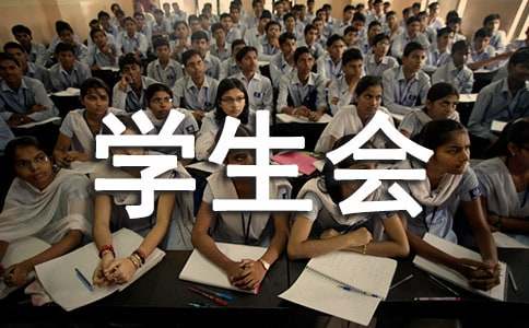 大学生会计专业实习总结