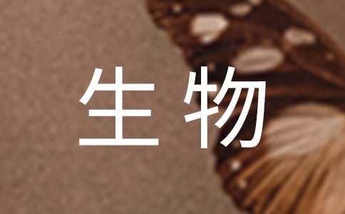 大学生物流实习总结