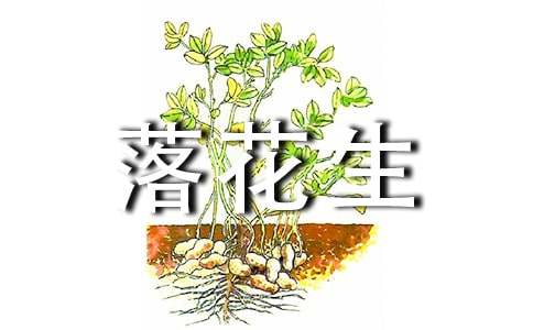  落花生等奖教学设计