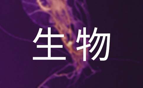 生物研讨会学习心得