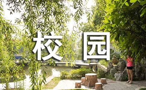  校园安全学习心得