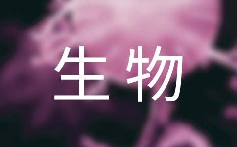  高生物工作总结