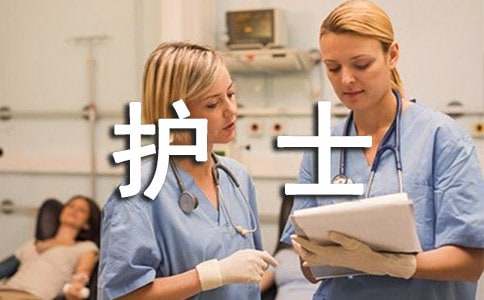 体检护士工作总结
