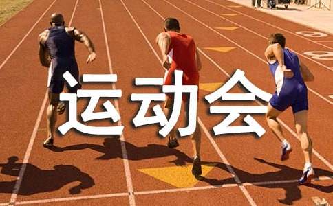 体育部运动会工作总结