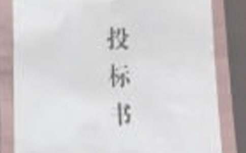个人工作总结——招投标工作