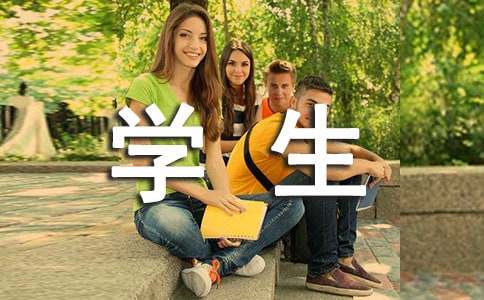  学生处个人工作总结
