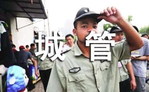 城管工作总结