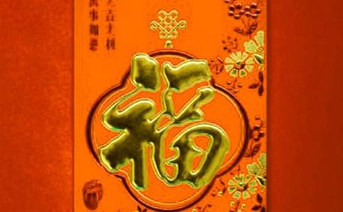 社会福利院工作总结
