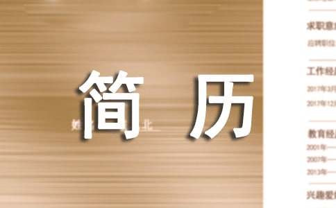  总结个人简历