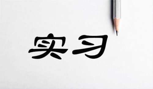 大的实习总结