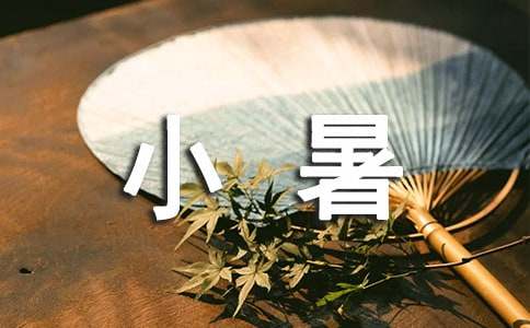  小暑节气活动总结