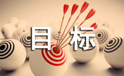 质量目标完成情况总结