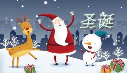 学校圣诞活动总结