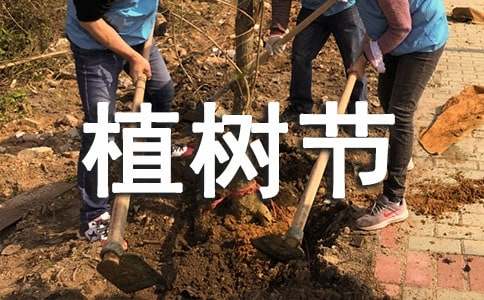 小学生植树节活动总结