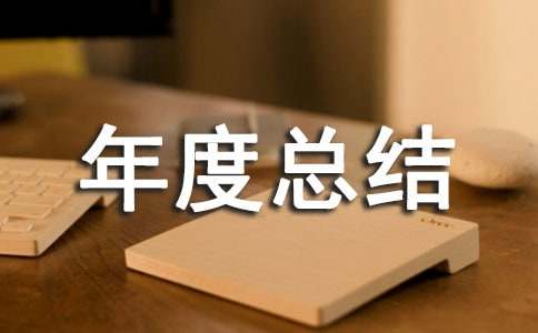促销年度总结