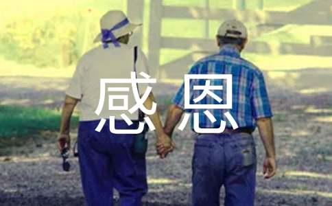  感恩诚信活动总结