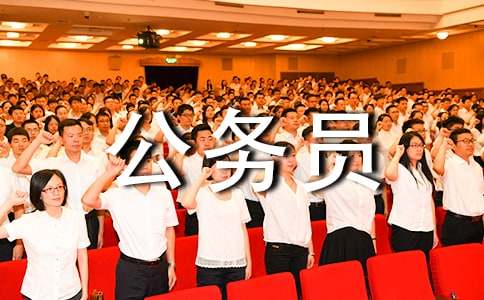 新进公务员年终工作总结
