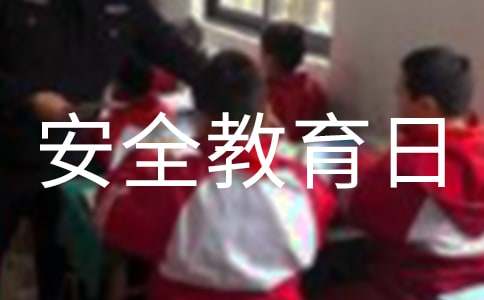  安全教育日宣传活动总结