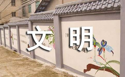 网络文明传播经验总结