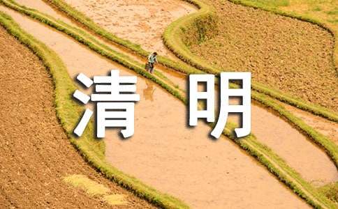 清明扫墓活动总结