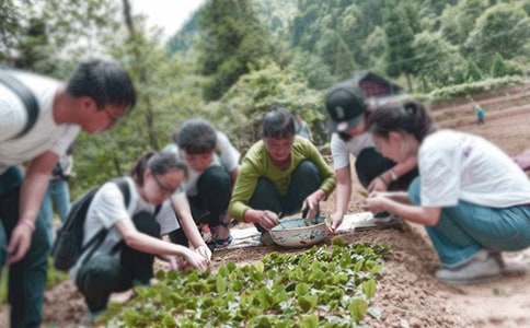  暑假下乡社会实践总结