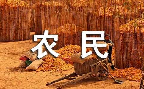 乡村农民丰收节的总结