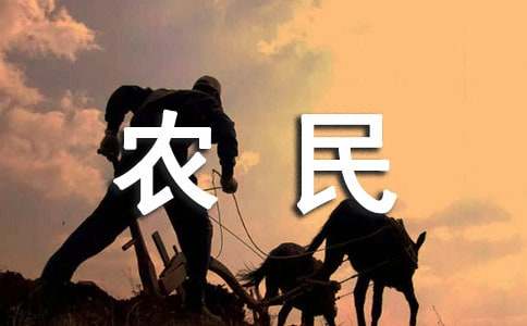 农民丰收节工作的总结