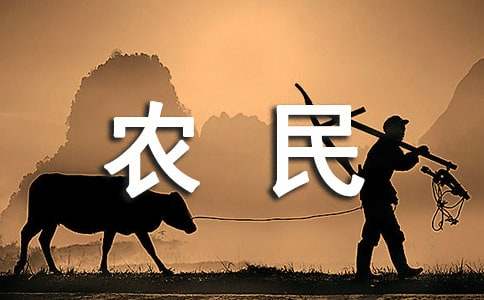 中国农民丰收节工作的总结