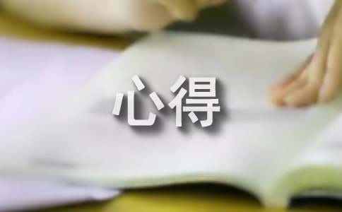 试用期个人工作心得